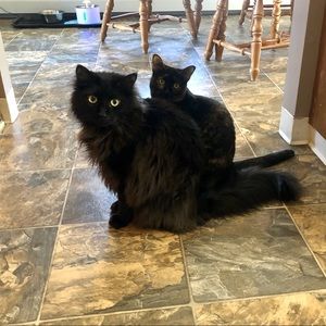 Meet your Posher, Rachael